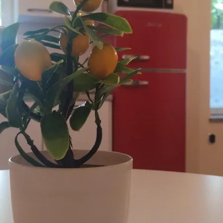 Apartamento Campio Di Fiori *